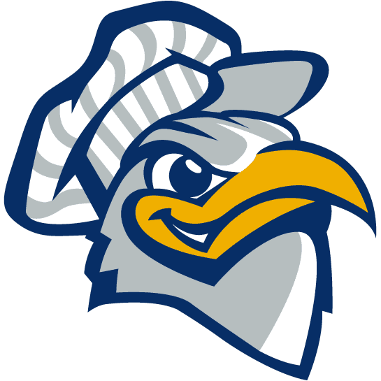 Chattanooga Mocs 2001-2007 Alternate Logo v3 iron on transfers for T-shirts